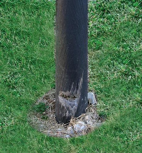 shredded composite light pole near the ground level