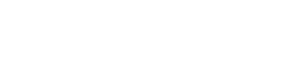 smart chamber white logo